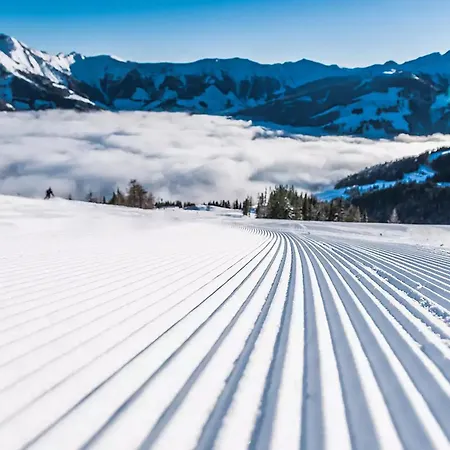 First In Mountain By We Rent * كابرون
